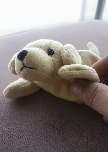 Bej Peluş Köpek Oyuncak - Görsel 4