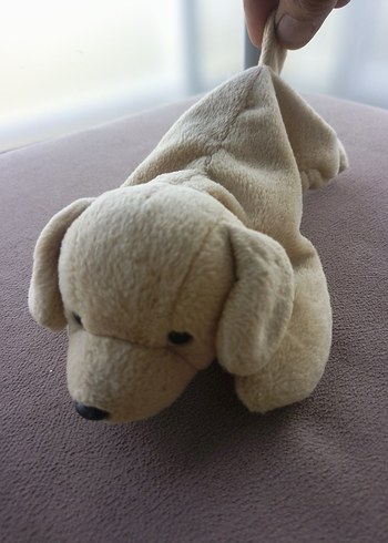 Bej Peluş Köpek Oyuncak - Görsel 10