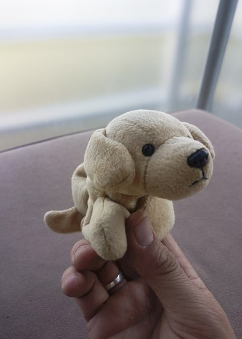 Bej Peluş Köpek Oyuncak - Görsel 11