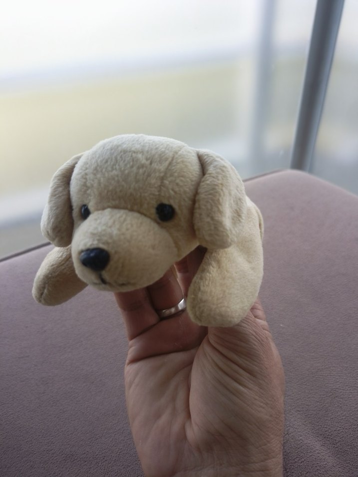 Bej Peluş Köpek Oyuncak - Görsel 3