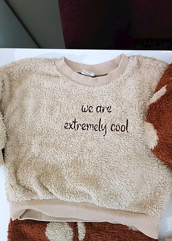 Baskılı Kahverengi ve Gri Çocuk Pijama Takımları - Görsel 2