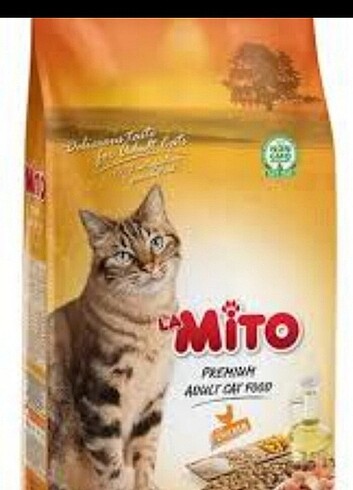 Kedi maması