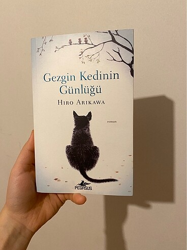 gezgin kedinin günlüğü