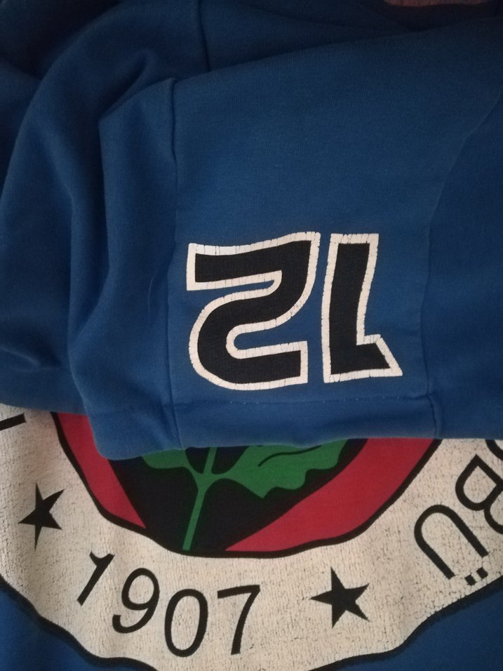 Fenerbahçe Baskılı Fenerium ürünü Erkek Sweatshirt - Görsel 3