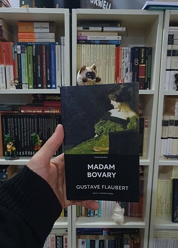 Madam Bovary Can yayınları 