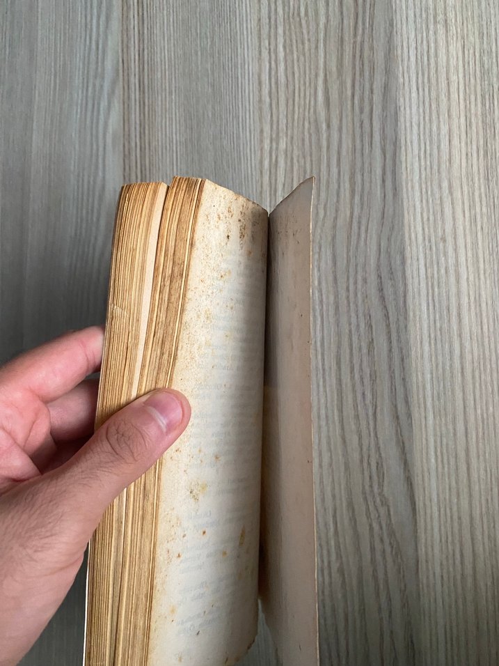 Sahibini arayan mektuplar- Ümit Yaşar Oğuzcan - Görsel 3