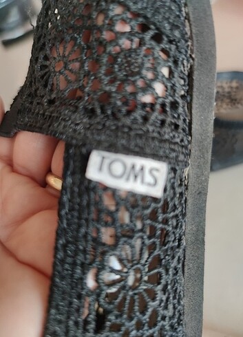 Toms babet