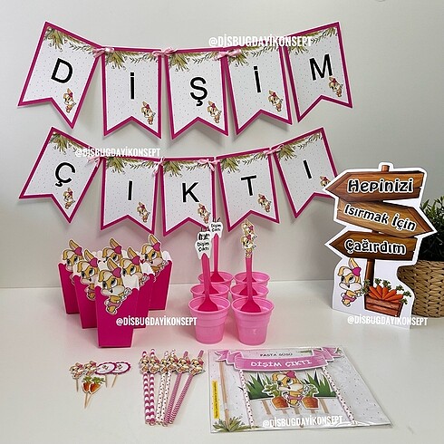 pembe tavşan diş buğdayı set