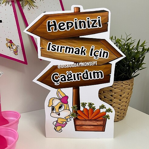 pembe tavşan diş buğdayı set