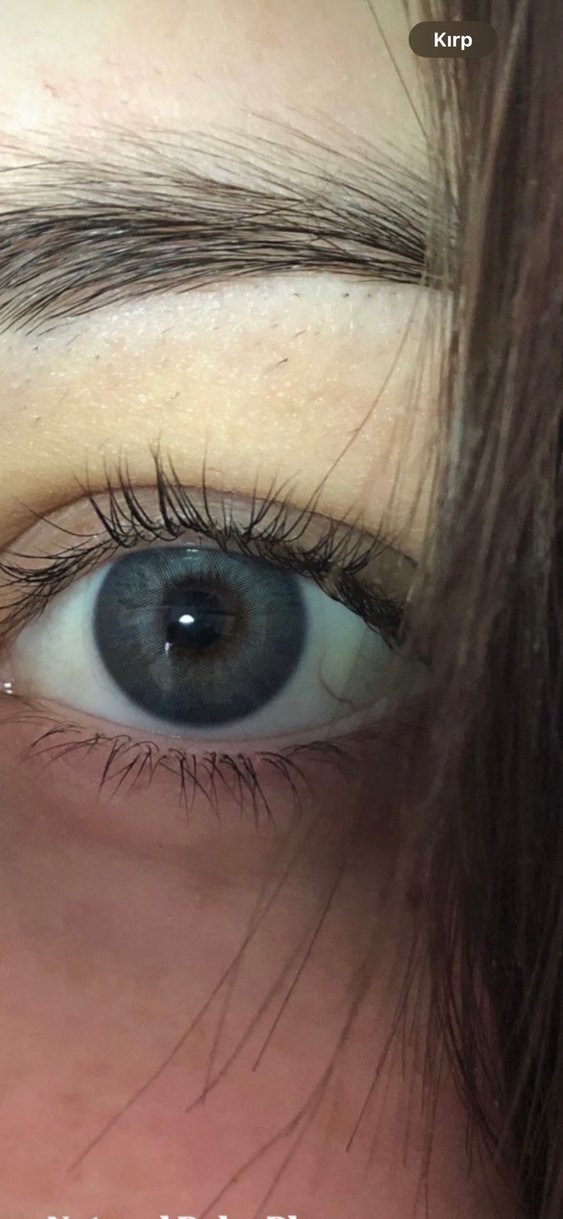 Gri Takma Kirpik - Görsel 2