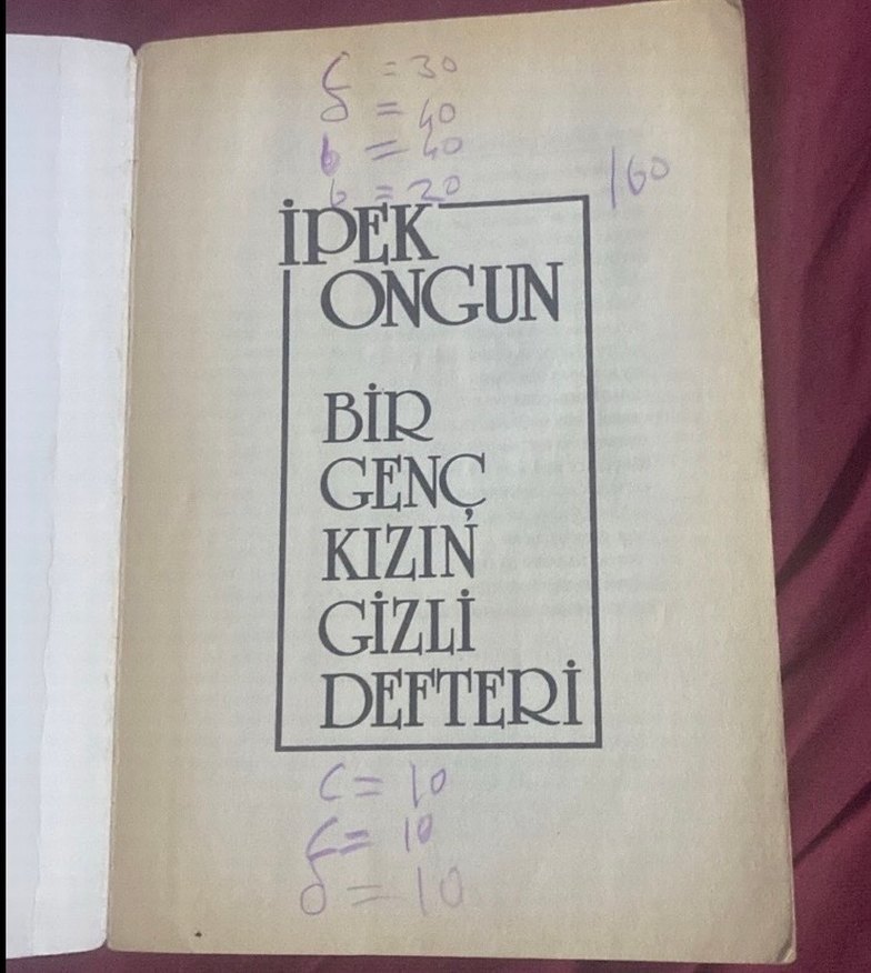Bir Genç Kızın Gizli Defteri 1,2,3,10 İpek Ongun - Görsel 5