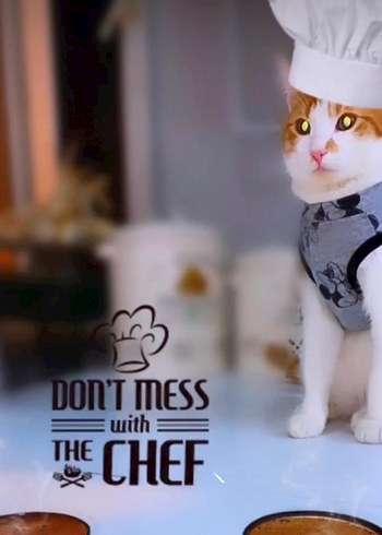 Gri Mickey Desenli Kedi&köpek Kıyafeti - Görsel 2