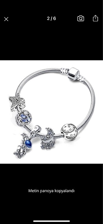 Pandora charm bileklik