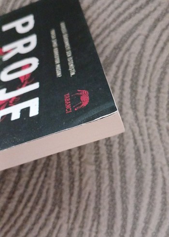 Proje - Courtney Summers - Görsel 2