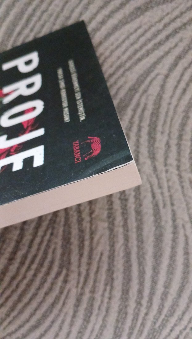 Proje - Courtney Summers - Görsel 2