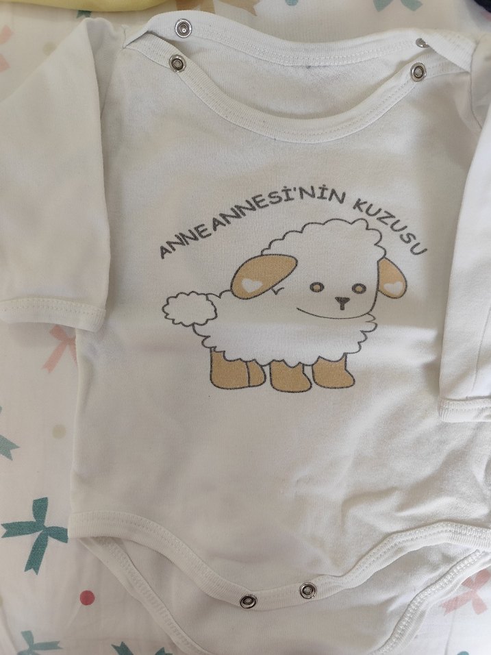 Bebek Erkek Pamuklu uzun Kollu Body zıbın - Görsel 2