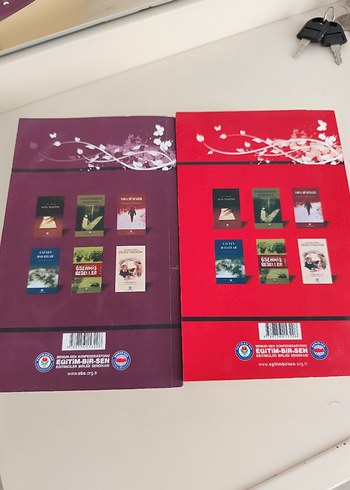 Kelebeğin Rüyası Romanı - Görsel 3