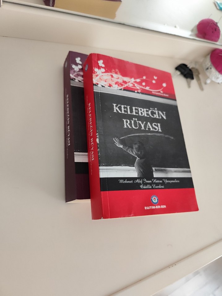 Kelebeğin Rüyası Romanı - Görsel 2