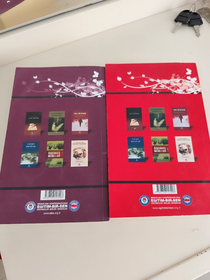 Kelebeğin Rüyası Romanı - Görsel 3