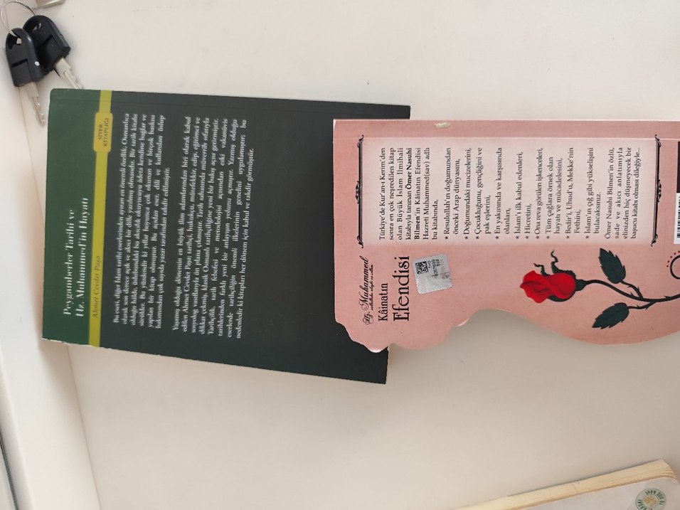 Peygamberler Tarihi ve Hz. Muhammed'in Hayatı Kitapları - Görsel 2