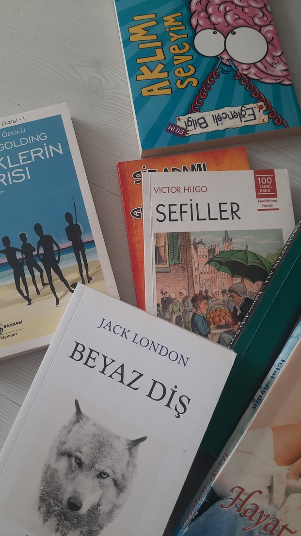 Çocuk Kitapları Seti: Eğitim ve Eğlence - Görsel 4