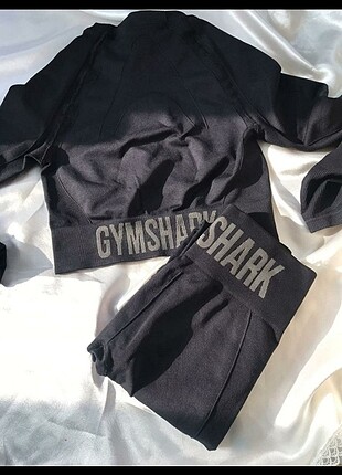 Spor takım