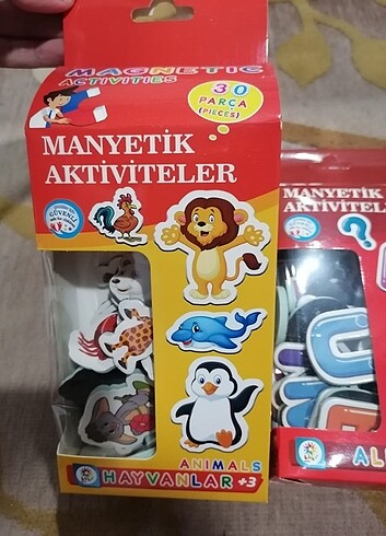 Diğer Manyetik Aktiviteler