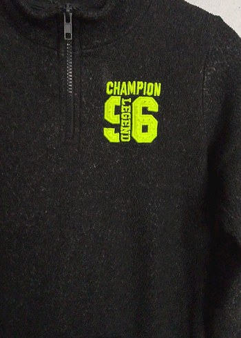 polar kişlik - Görsel 3