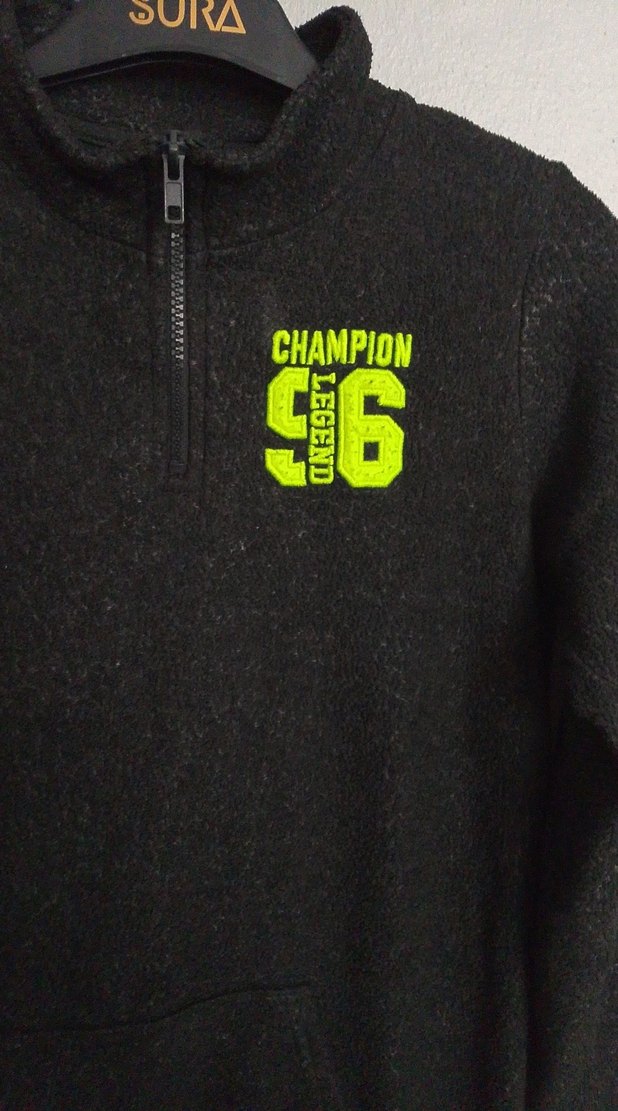 polar kişlik - Görsel 3