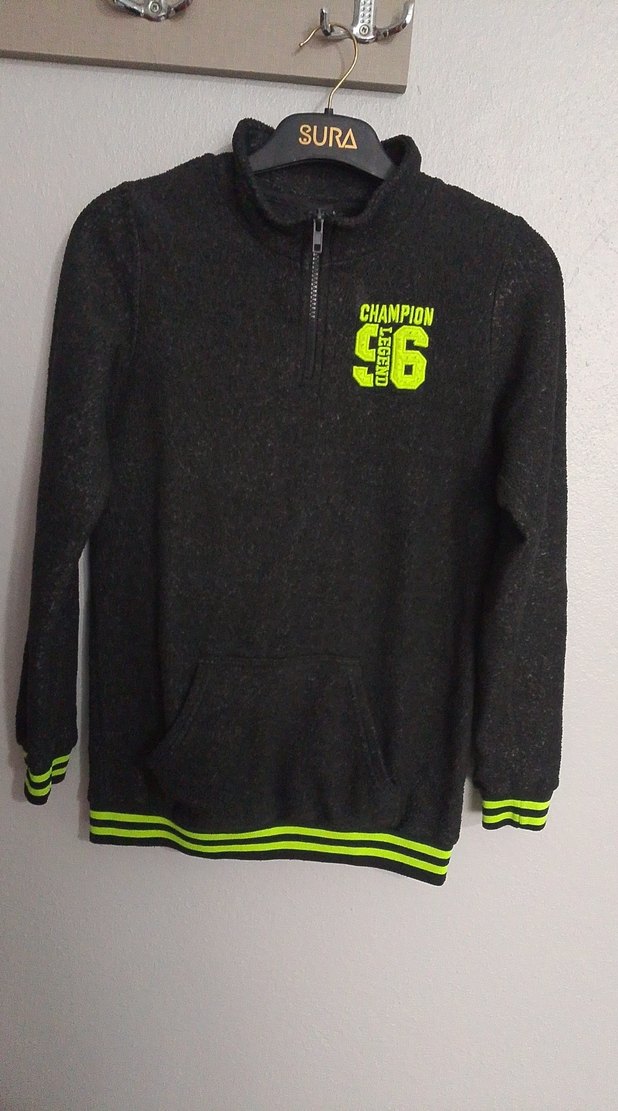 polar kişlik - Görsel 2