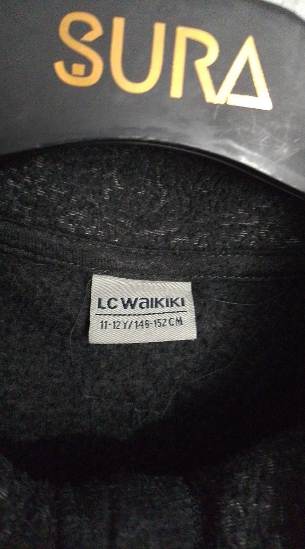 polar kişlik - Görsel 4