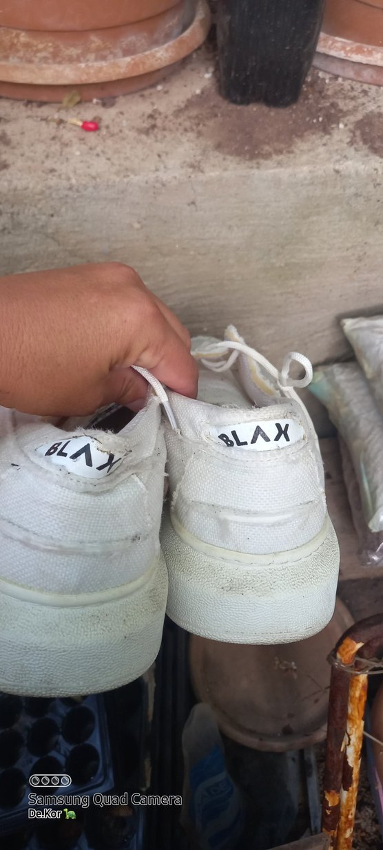 Vintage Beyaz Parlak Erkek Ayakkabı Bağcığı - Görsel 2