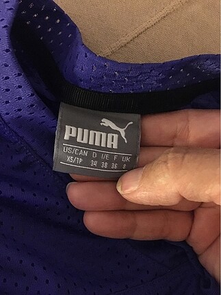 Puma Puma crop