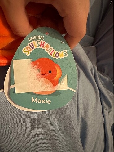Beden Renk Squishmallow orijinal Maxie