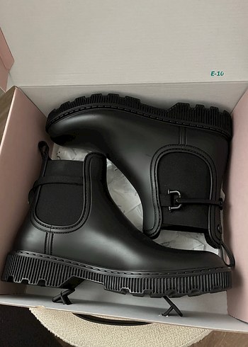 Igor 40