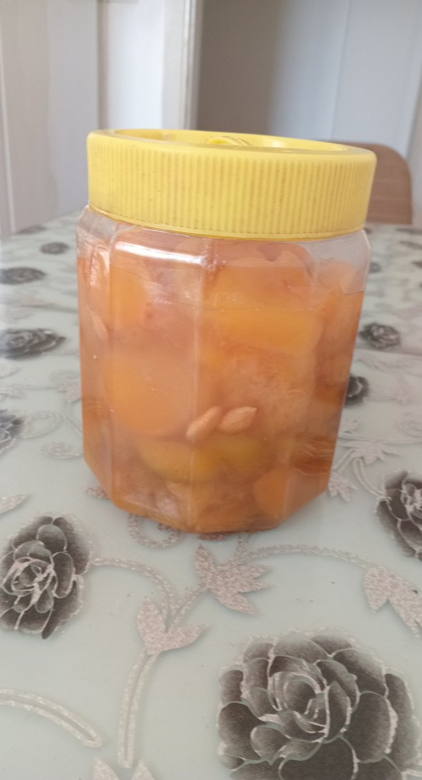 Parlak Turuncu Kapaklı Gıda Kabı - Görsel 2