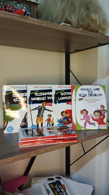 Meraklı Avni ile Bilim İnsanları - Görsel 2