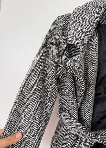 Gri Kuşaklı Kaban - Görsel 5