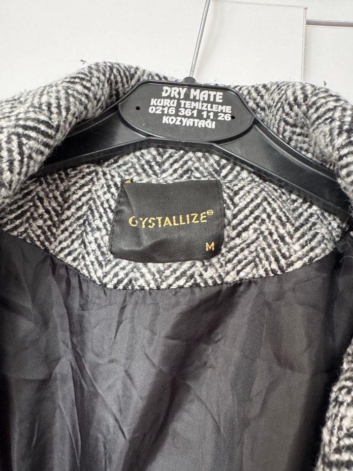 Gri Kuşaklı Kaban - Görsel 3