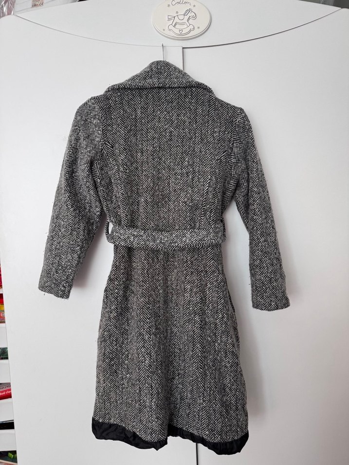 Gri Kuşaklı Kaban - Görsel 2