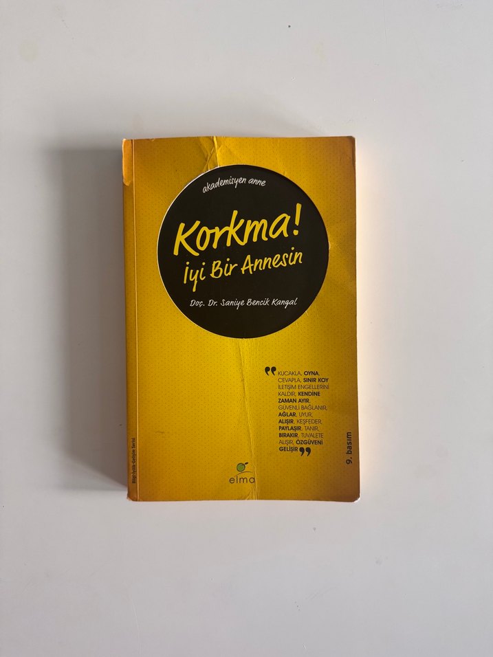 Korkma! İyi Bir Annesin - Saniye Bencik Kangal - Görsel 2