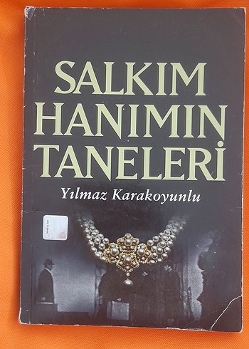 Salkım Hanımın Taneleri - Yılmaz Karakoyunlu