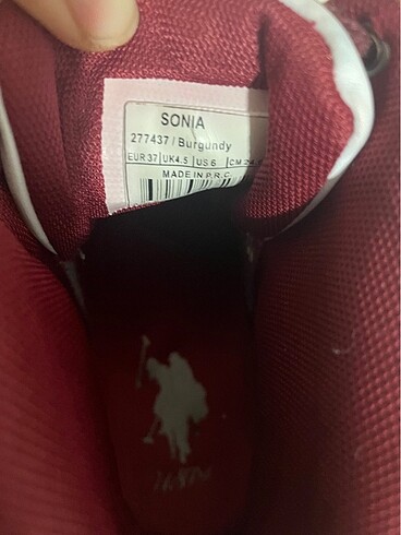 37 Beden Us polo