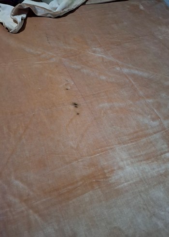 kadıfe  ortu - Görsel 5