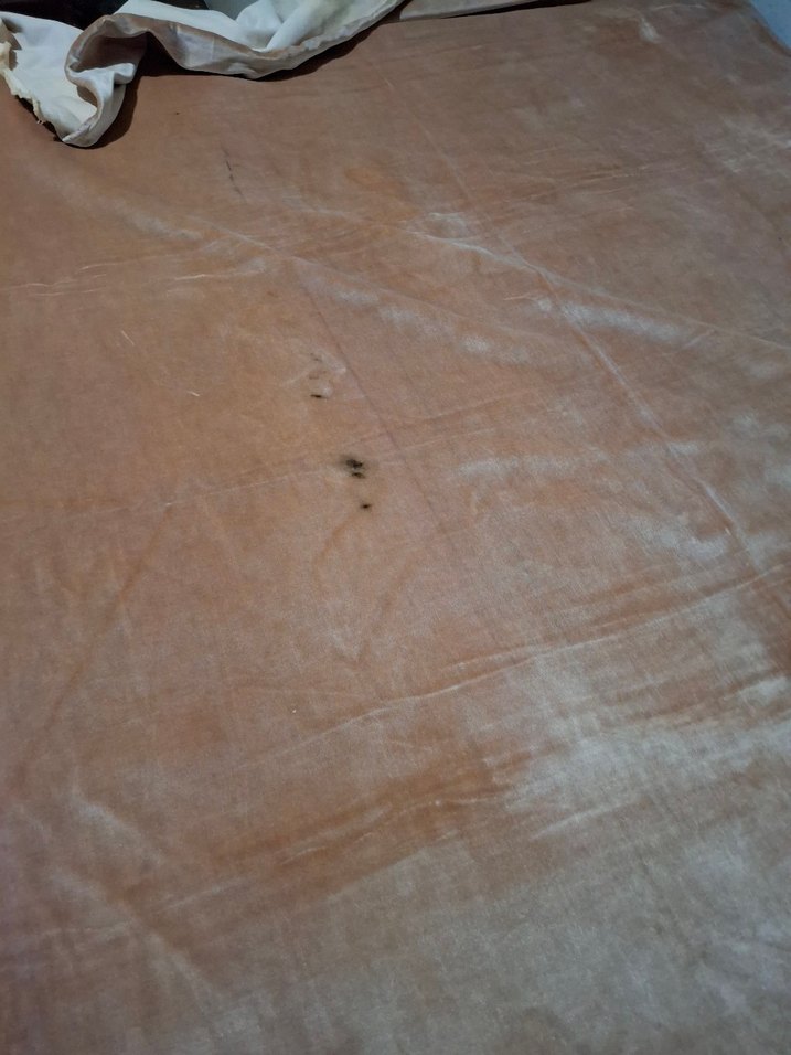 kadıfe  ortu - Görsel 5