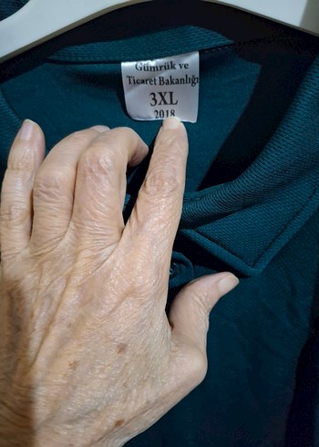 Erkek Turkuaz Polo Yaka Kısa Kollu Tişört - Görsel 3