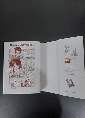 Beden Renk Bungou stray dogs 1