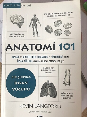 anatomi 101