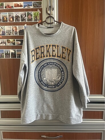 Berkeley sweat