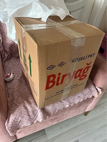 Şans Kutu